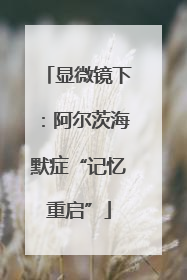 显微镜下：阿尔茨海默症“记忆重启”